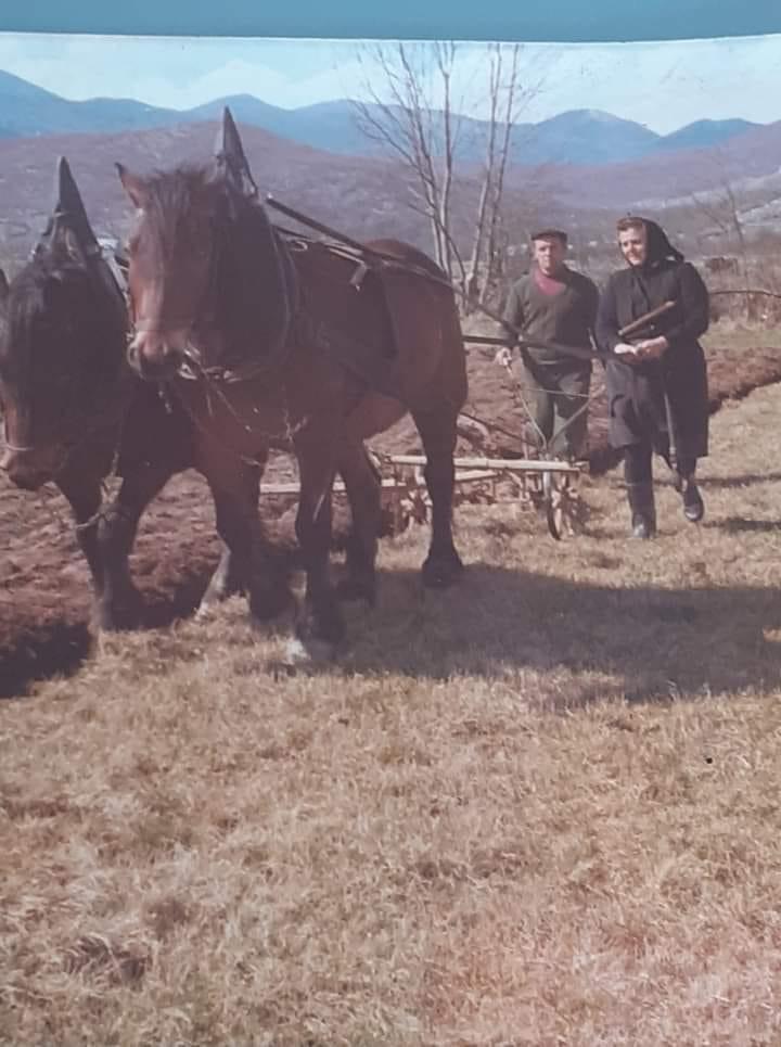 The Stone and the Spirit: A Journey from the Hard Earth to a Future Reborn